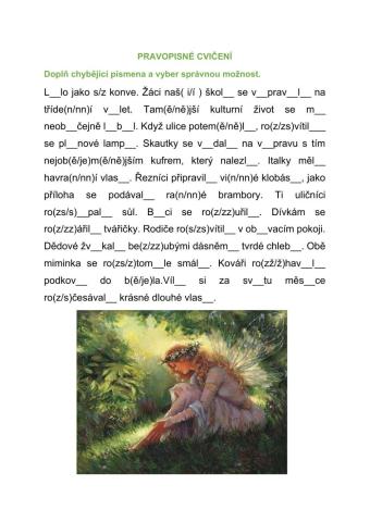 Pravopisné cvičení