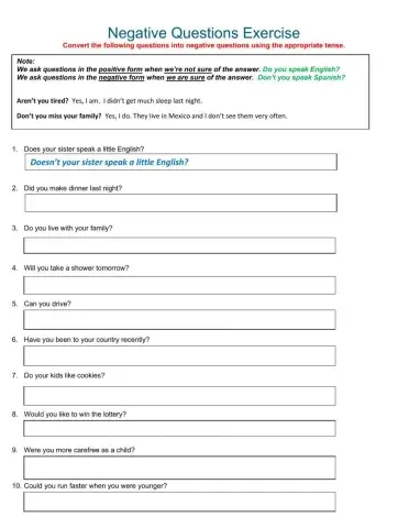 Negative Questions Exercise