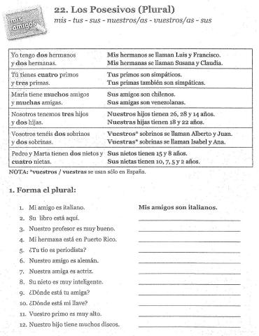 Determinantes posesivos plural