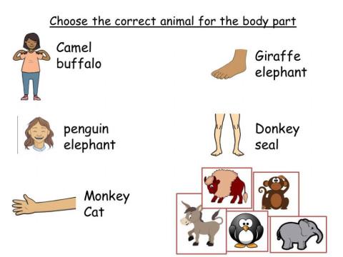 Body part to animal