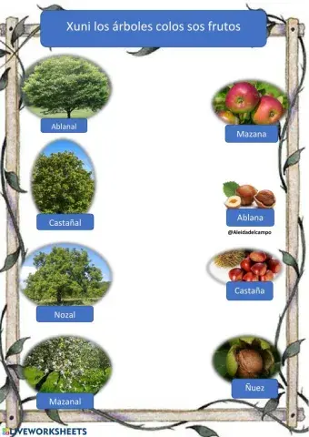 Arboles y frutos
