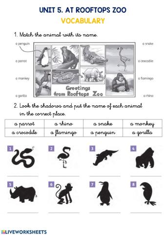 Animals vocabulary