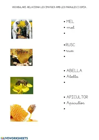 Les abelles.Relaciona