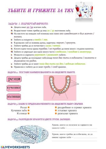 Зъбите и грижите за тях