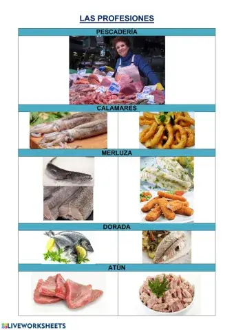 Ficha de las profesiones