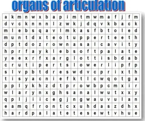 Wordsearch-Articulators