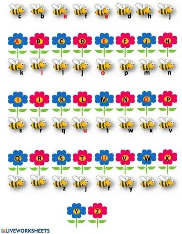 English Alphabet - capital and small letter