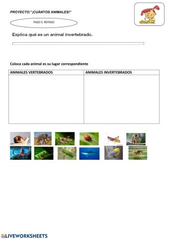 Repaso los animales