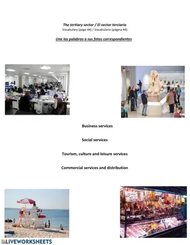 Tertiary Sector Services