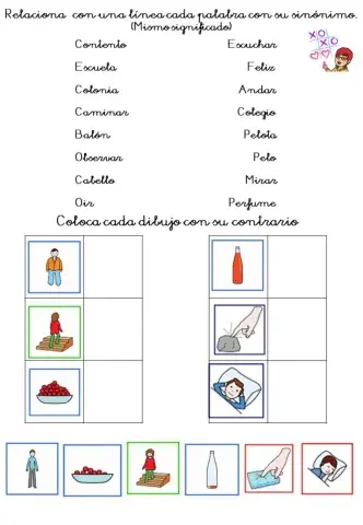 Sinónimos y contrarios