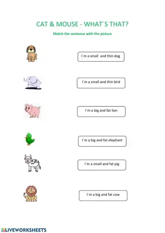 Meet the animals -Adjectives