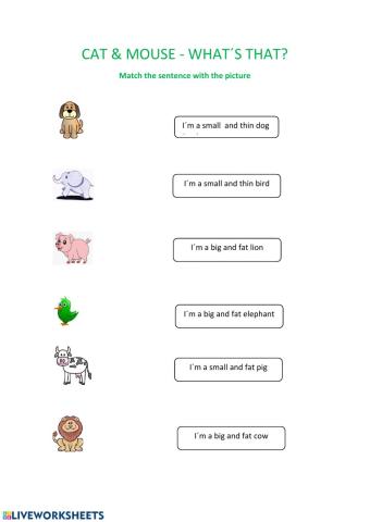 Meet the animals -Adjectives