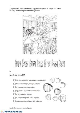 Készségfejlesztés