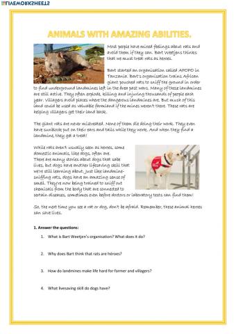 Reading amazing animals