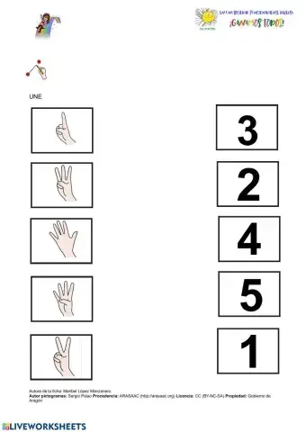 Une número y cantidad.