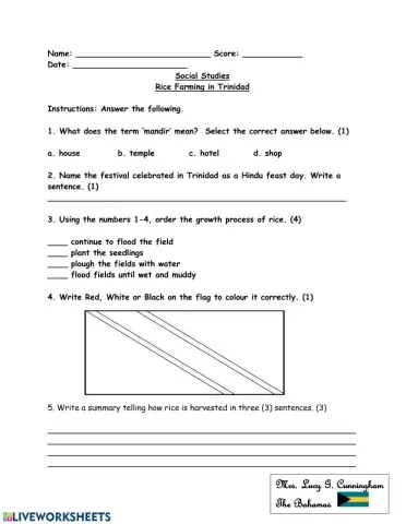 Rice Farming in Trinidad Worksheet