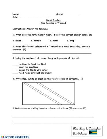 Rice Farming in Trinidad Worksheet