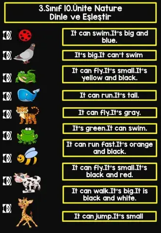 Nature Matching Worksheet