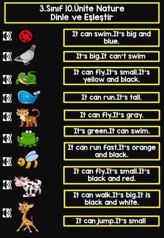 Nature Matching Worksheet