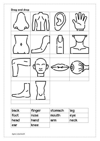 Body parts