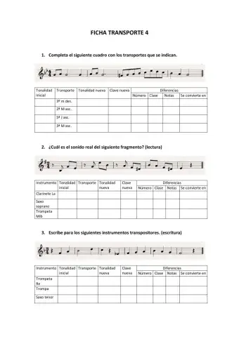 Ficha Transporte 4