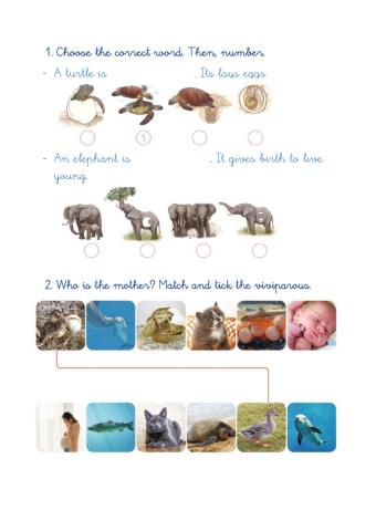 Natural Science 4 -5 inglés