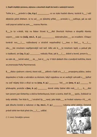 Čarodějův synovec