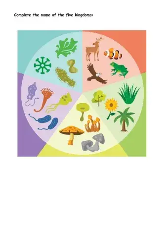 Name the five kingdoms