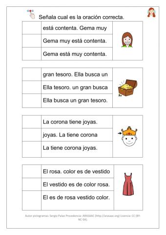 Elige oración correcta.