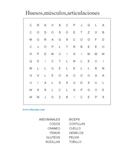 Huesos, músculos, articulaciones