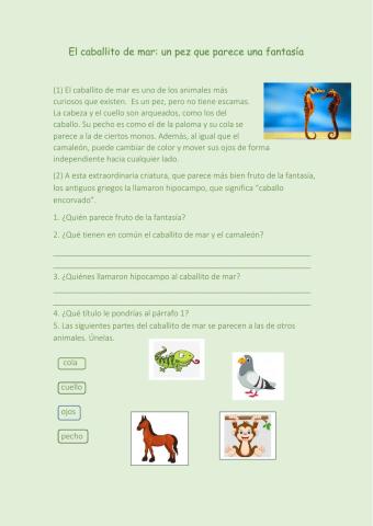 Comprensión de lectura