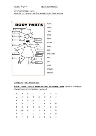 Body parts