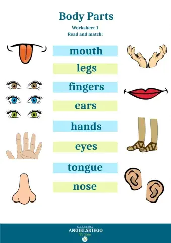 Body Parts - Worksheet 1