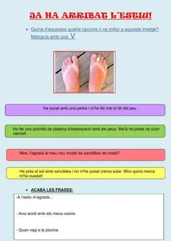 Ja ha arribat l'estiu!