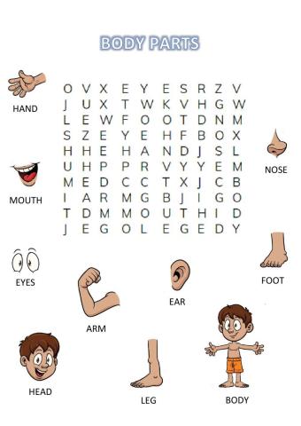 Body Parts Wordsearch