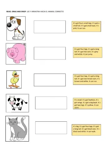 Farm animals 2º