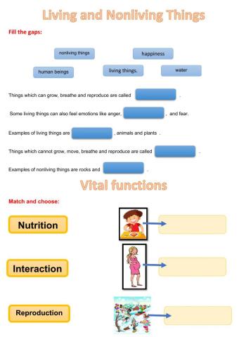 Vital functions