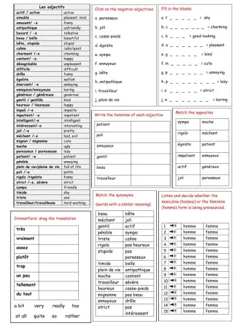 Les adjectifs de personnalité