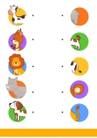 Collega l'animale alla sua coda