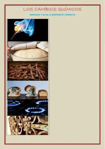 Cambios químicos