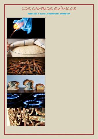 Cambios químicos
