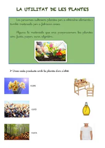 La utilitat de les plantes