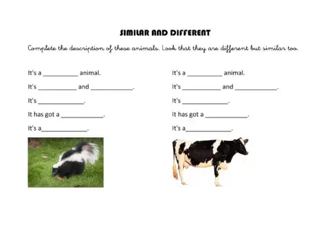 Similar and different