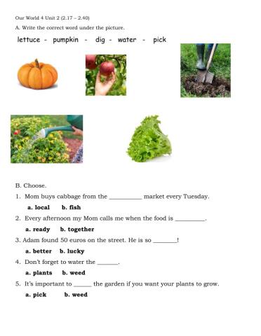 Our World 4 Unit 2 (2.17 – 2.40)