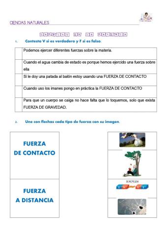 La materia y las fuerzas