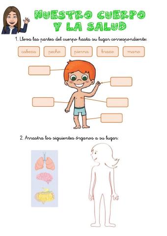 Nuestro cuerpo y la salud