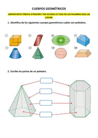 Cuerpos geométricos