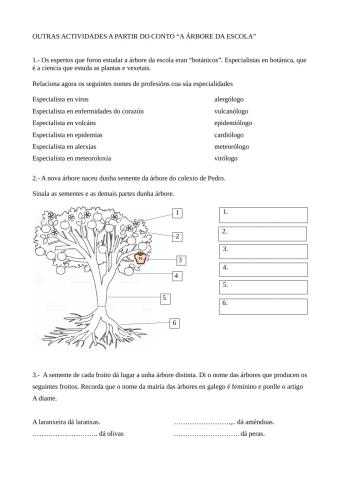 Actividades sobre - A árbore da escola-
