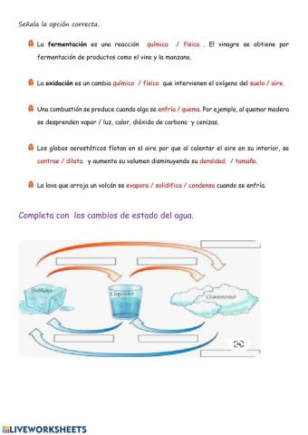 NATURALES.  T5. La materia cambia.