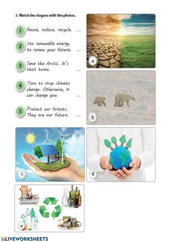 Environment Vocabulary